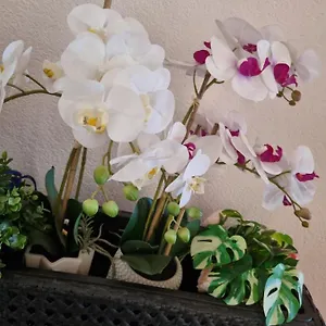 Orchidea Appartamento Monfalcone